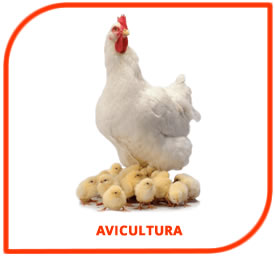 Productos Veterinarios avícola en Costa Rica 