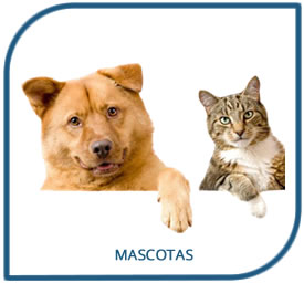 Productos Veterinarios para mascotas en Costa Rica 