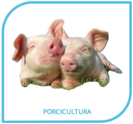 Productos Veterinarios porcinos en Costa Rica 