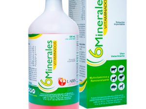 6 MINERALES VITAMINADOS