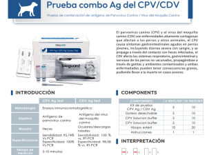 Prueba combo Ag del CPV / CDV