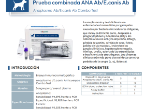 Prueba Combinada ANA Ab/ E.Canis Ab