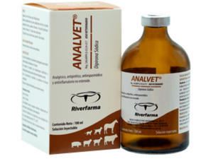 ANALVET