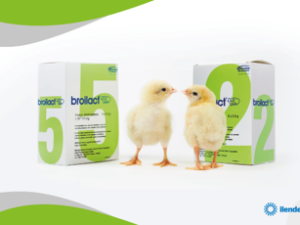 BROILACT®