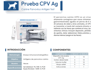 Prueba CPV Ag