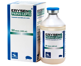ERYSENG PARVO/LEPTO 10/50 dosis®