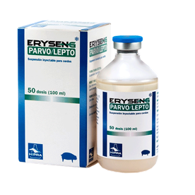 ERYSENG PARVO/LEPTO 10/50 dosis®