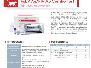 FeLV Ag / FIV Ab Combo Test