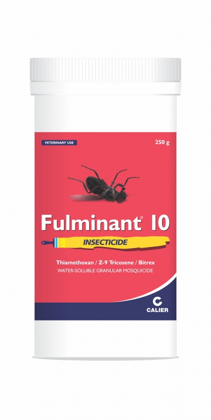 Fulminant 10