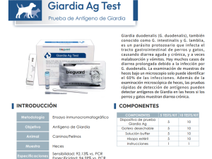 Giardia Ag Test