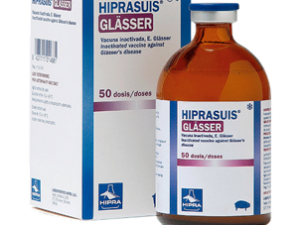 HIPRASUIS - GLASSER®