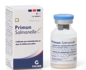 PRIMUN SALMONELLA E®