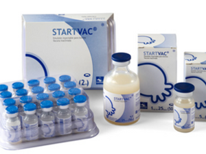 STARTVAC®