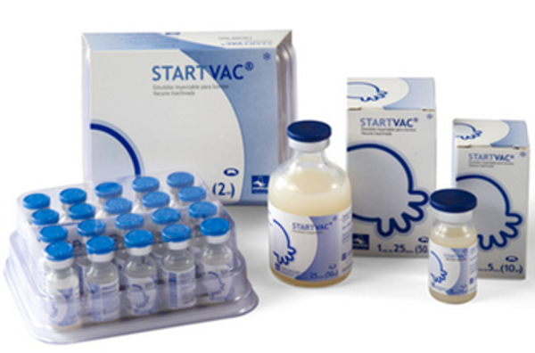 STARTVAC®