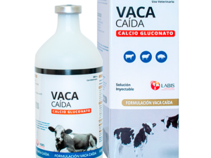VACA CAIDA CALCIO GLUCONATO