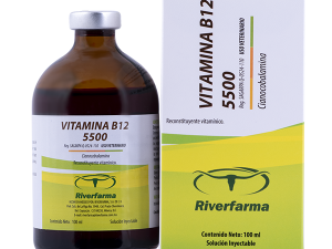 Vitamina B12 5500