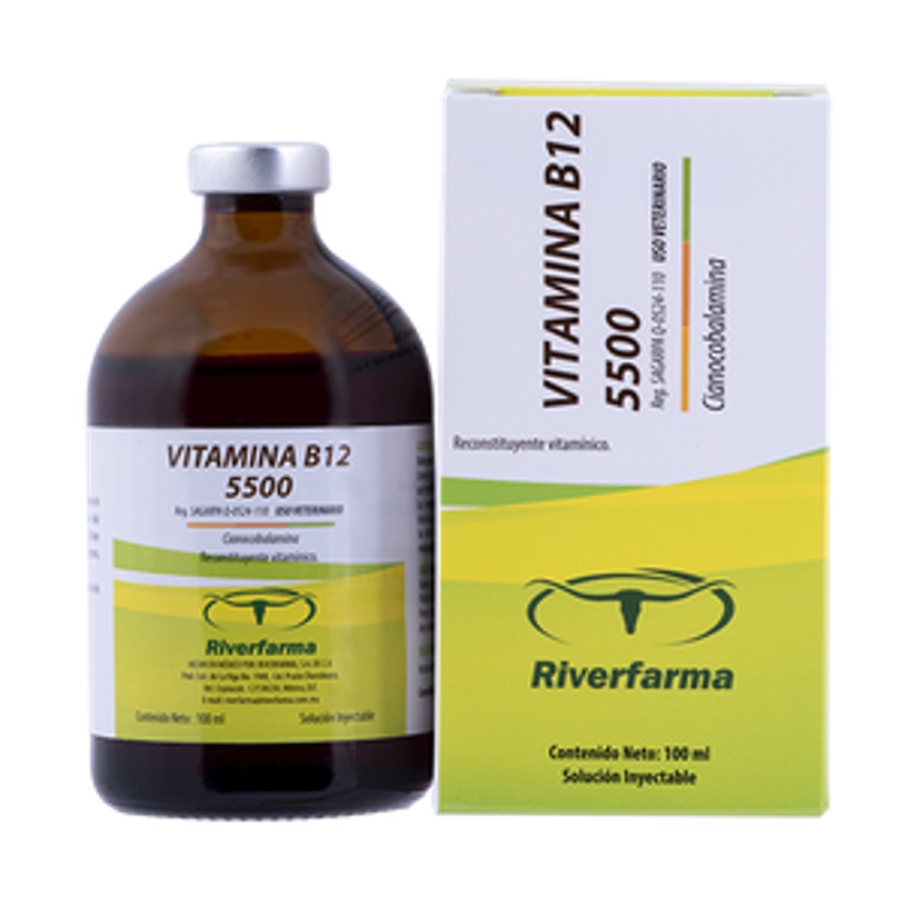VITAMINA B12 5500