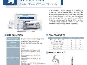 VLabs 3 DX