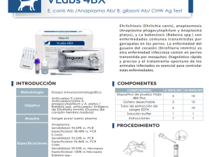 VLabs 4 BX